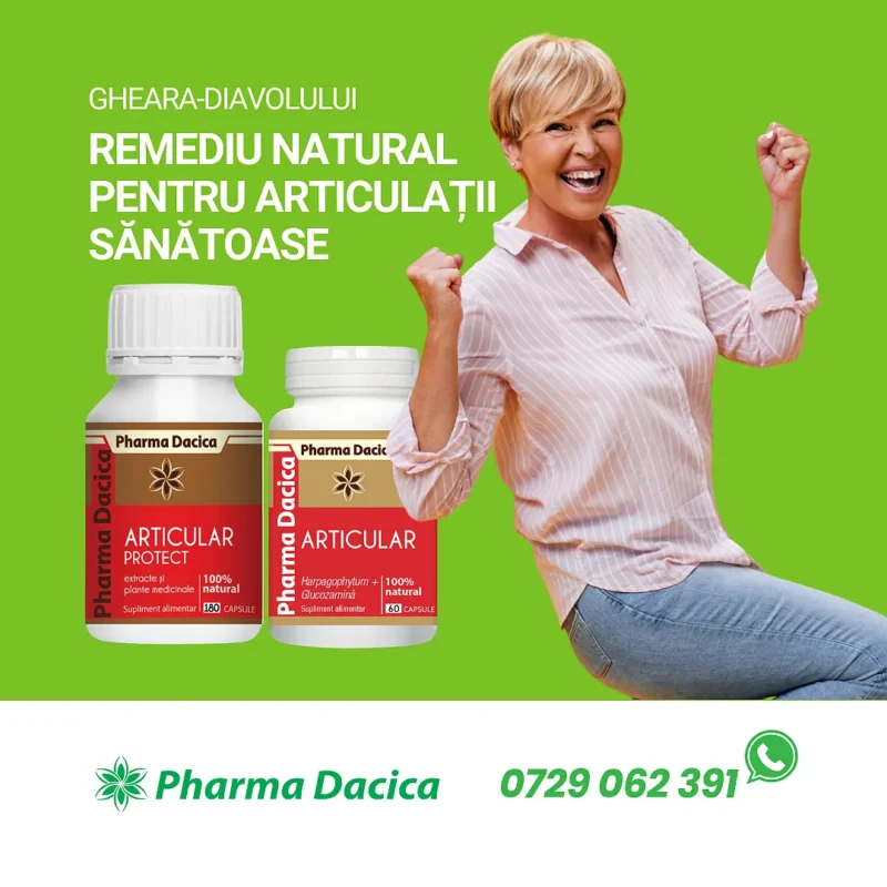Gheara Diavolului – Remediu Natural Pentru Articulatii Sanatoase