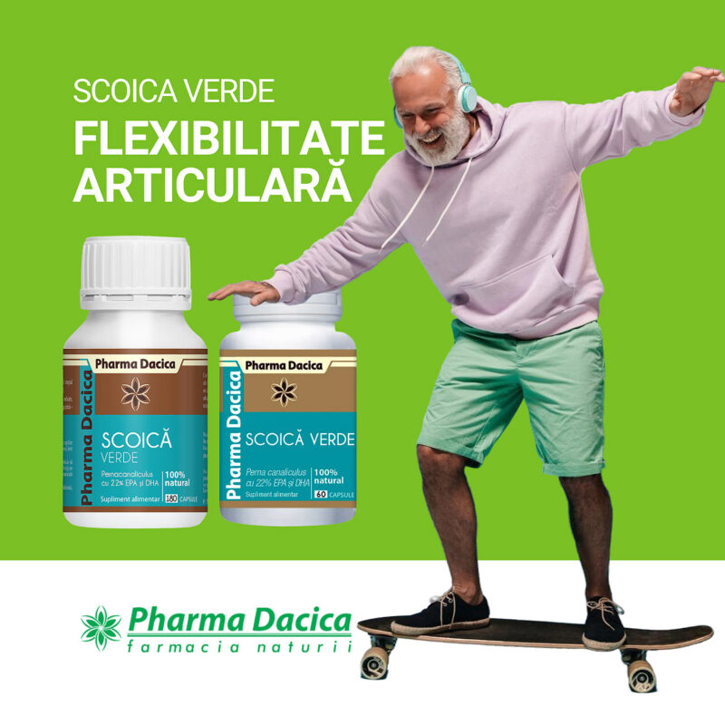 SCOICA VERDE