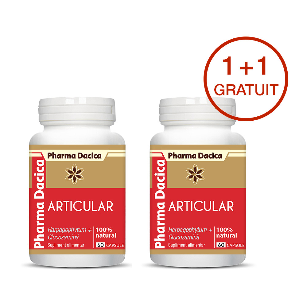 Articular-Protect-11-GRATUIT-60capsule-1.jpg Articular Protect 1+1 Gratuit, 60 capsule x 2 - imagine 1