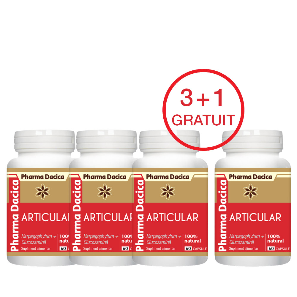 articular-protect-60-caps-4.jpg Articular Protect 3+1 Gratuit, 60 capsule x 4 - imagine 1