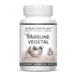 Carbune vegetal