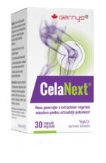 CelaNext - imagine 4
