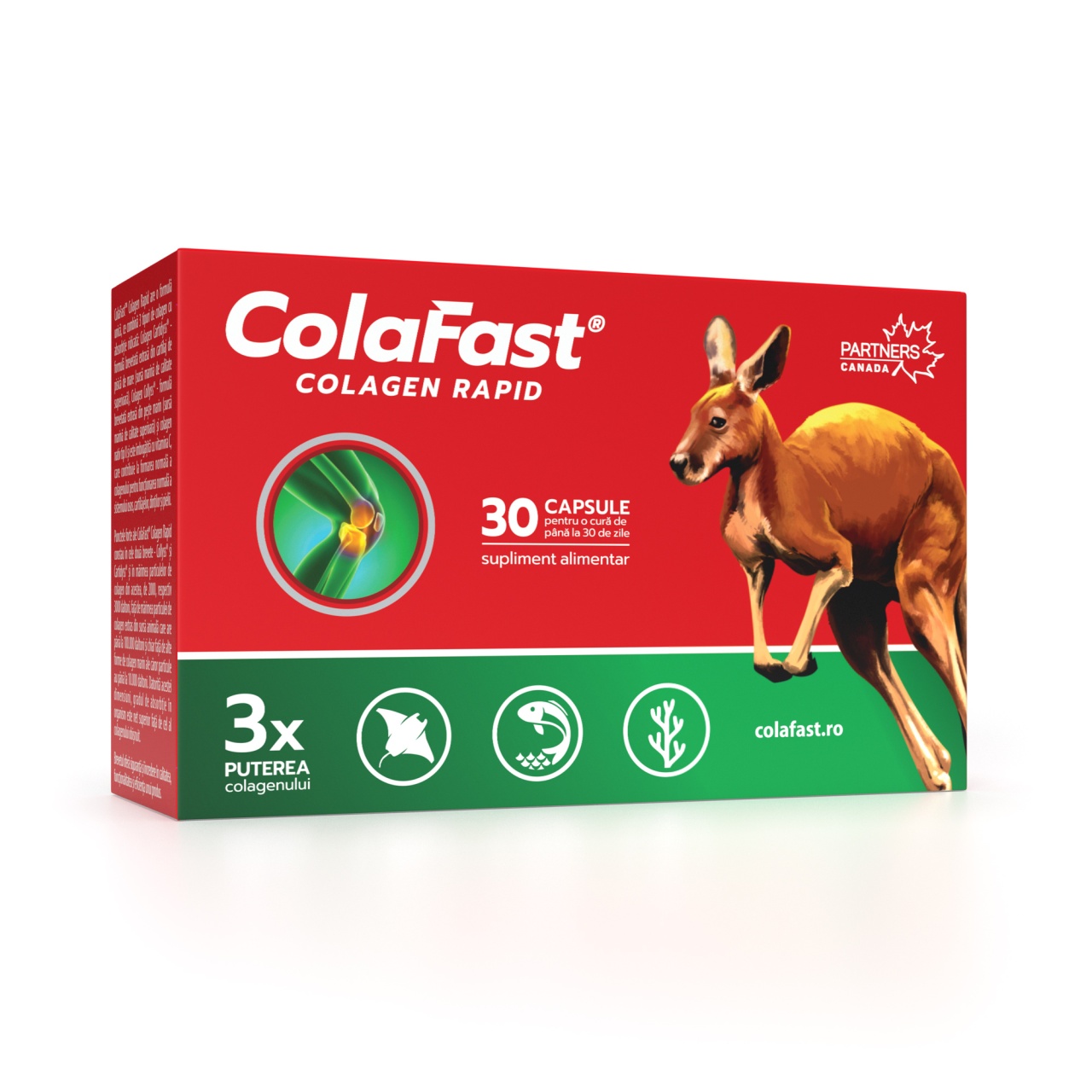 colafastC2AE-colagen-rapid8839363.jpg ColaFast® Colagen Rapid - imagine 1