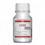 Liver - imagine 3